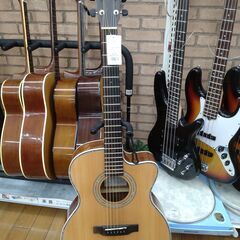 【訳あり品】stafford エレアコギター  SF-5C/NT