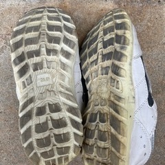 安全靴　25㎝の画像