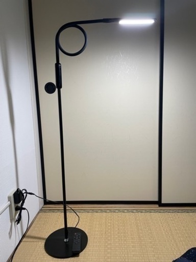 その他 Zanflare LED floor lamp