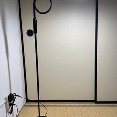 Zanflare LED floor lamp