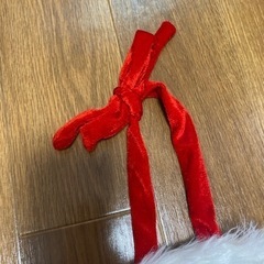 サンタコス 美品の画像
