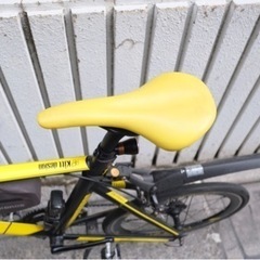 tern surge pro 2020モデル 52サイズ 引き取り