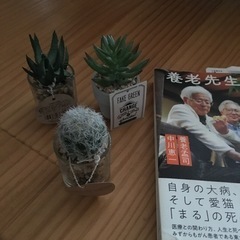 購入予定者様決まりました、造花　大　中　小　まとめて900円の画像