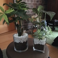 購入予定者様決まりました、造花　大　中　小　まとめて900円の画像