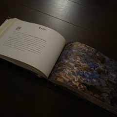 写真集 かけがえのない地球 365日空の旅　除籍本の画像