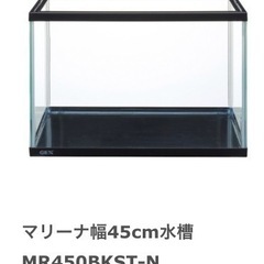 ゴールデンハムスター飼育セット