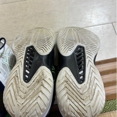 バッシュの画像