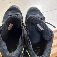 バッシュの画像