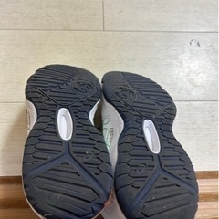 バッシュの画像