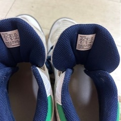 バッシュの画像