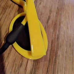 ペット用サングラスの画像