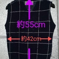 👩👨👧👦ニットベスト(Mサイズ)/子供用にも⭕️【美品に近いかな？割りと状態良し】の画像