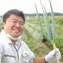 甘くてやわらかい長ねぎ☆１箱２L～M10本づつ30本入り☆秋田県産☆の画像