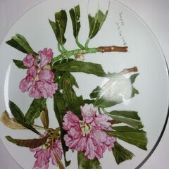 ➂★美品、NARUMI（ナルミ）未使用プレート,、★ほんしゃくなげ、Rkdiso記載、とても花が模様がきれい、画像参照★、★30cm大皿1枚と★26cm1枚、★26センチは裏らに吊るす穴が開いていまして飾れます★お手数をおかけしますが、プロフィール必読ですの画像