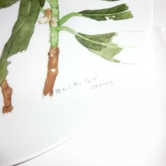 ➂★美品、NARUMI（ナルミ）未使用プレート,、★ほんしゃくなげ、Rkdiso記載、とても花が模様がきれい、画像参照★、★30cm大皿1枚と★26cm1枚、★26センチは裏らに吊るす穴が開いていまして飾れます★お手数をおかけしますが、プロフィール必読ですの画像