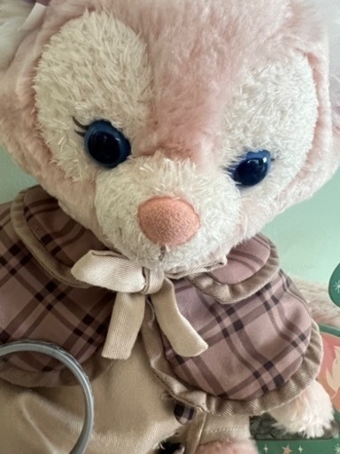 ディズニーシー＊リーナベルぬいぐるみと洋服セット！