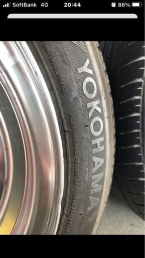 ⭐︎スターシャーク⭐︎