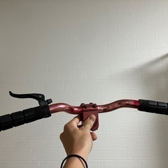 ピストバイク　広島引き取り限定 今の定期代でピストバイクが買えるとしても、あなたはまだ電車で