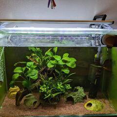 60cm規格ガラス水槽セット　GEX メガパワー9012の画像