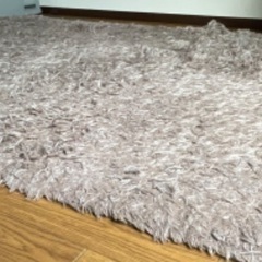 カーペット