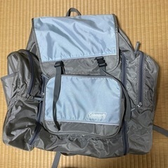 リュック大②
