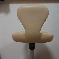 【USED 美品】保阪尚希 監修 美フォームスクワットの画像