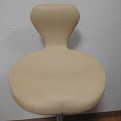 【USED 美品】保阪尚希 監修 美フォームスクワットの画像