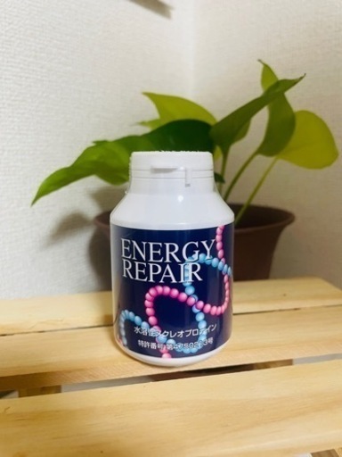 ファイナルフューチャーエナジーリペア核酸　1個　energy rapair