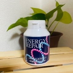 ファイナルフューチャーエナジーリペア核酸　1個　energy r...