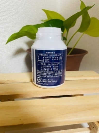 ファイナルフューチャーエナジーリペア核酸　1個　energy rapair
