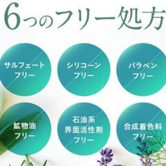 ビオルチア (１本)の画像