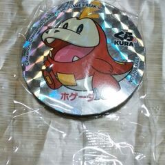【無事受け渡し完了】ポケモンマグネット