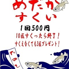 9\17 メダカすくい・多肉植物販売