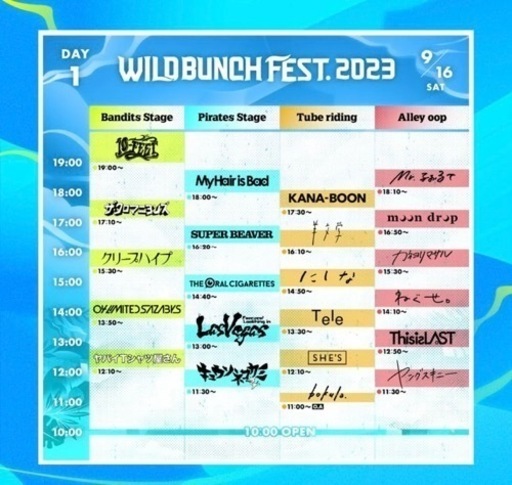 ワイルドバンチチケット　16.17日の2日通し券２枚