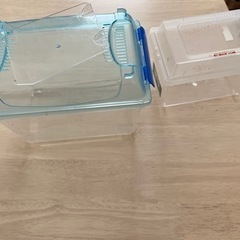 カブトムシ育成キット