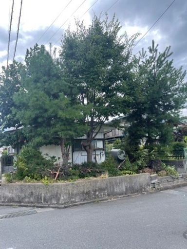 草刈り・伐採作業