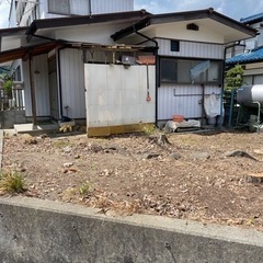 草刈り・伐採作業の画像