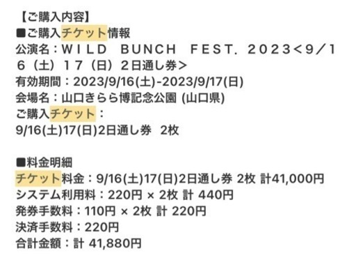 ワイルドバンチチケット　16.17日の2日通し券２枚