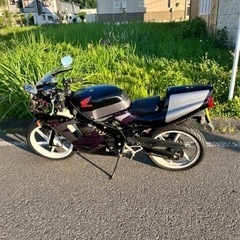 NS-1の画像