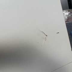 衣装収納の画像