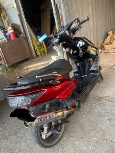 シグナス2型