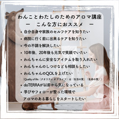 わんことわたしのためのアロマ講座の画像