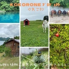 夢を叶える仲間募集  自然と動物と癒される場所作り