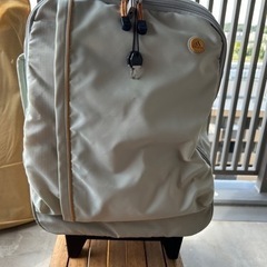 キャリーバッグ　adidasの画像