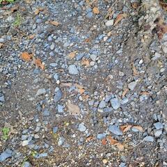 土貰ってくださいの画像