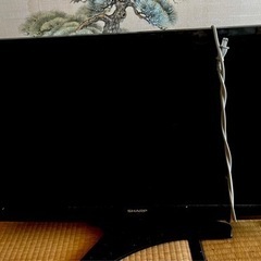 テレビ！