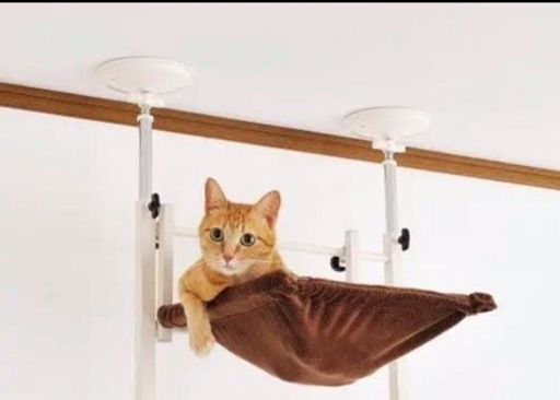 キャットウォーク、キャットタワー