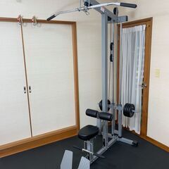 ワイルドフィットラットマシン（プレートツリー式）