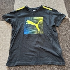 PUMA 半袖①