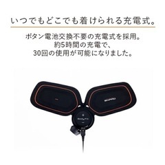 SIXPADシックスパッド10,000円の画像